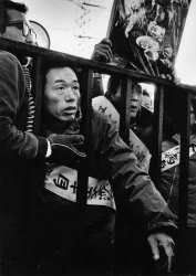 水俣地图与污染源