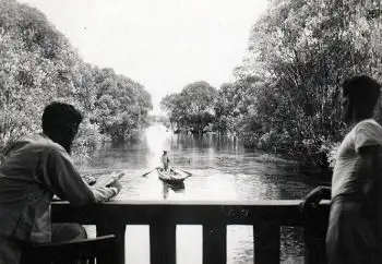 传教士总部被洪水淹没,水深达15英尺