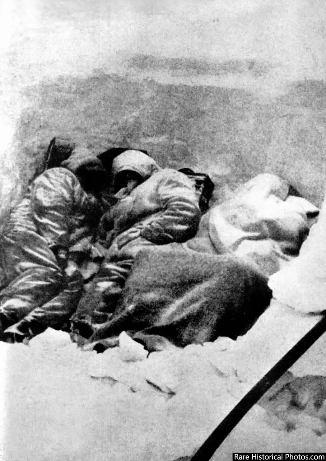 冻死的德国士兵