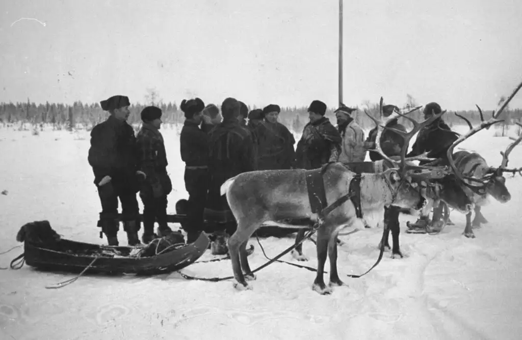 驯鹿被用于运输芬兰士兵，1940年