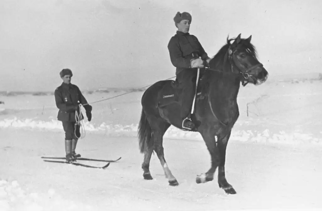 芬兰士兵在冬季战争期间，1939-1940年