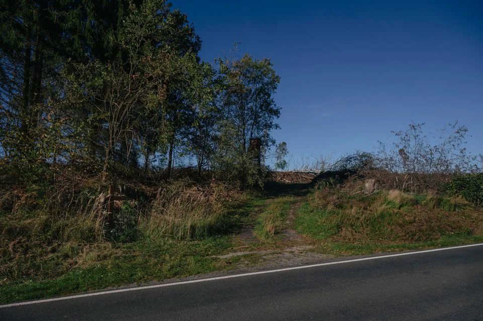 发现遗体的森林地点现状