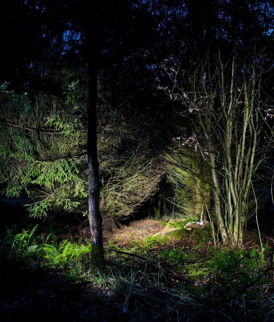 发现Frauke Liebs遗骸的森林地点