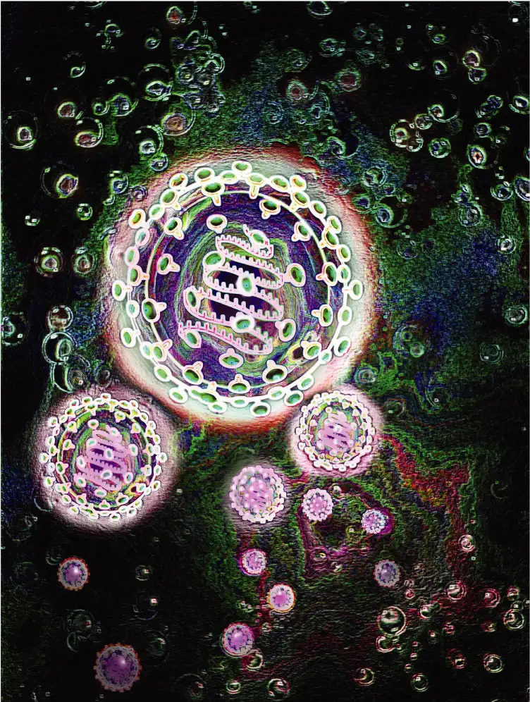 冠状病毒结构示意图
