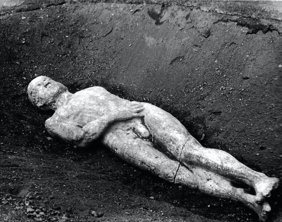 加迪夫巨人展览现场