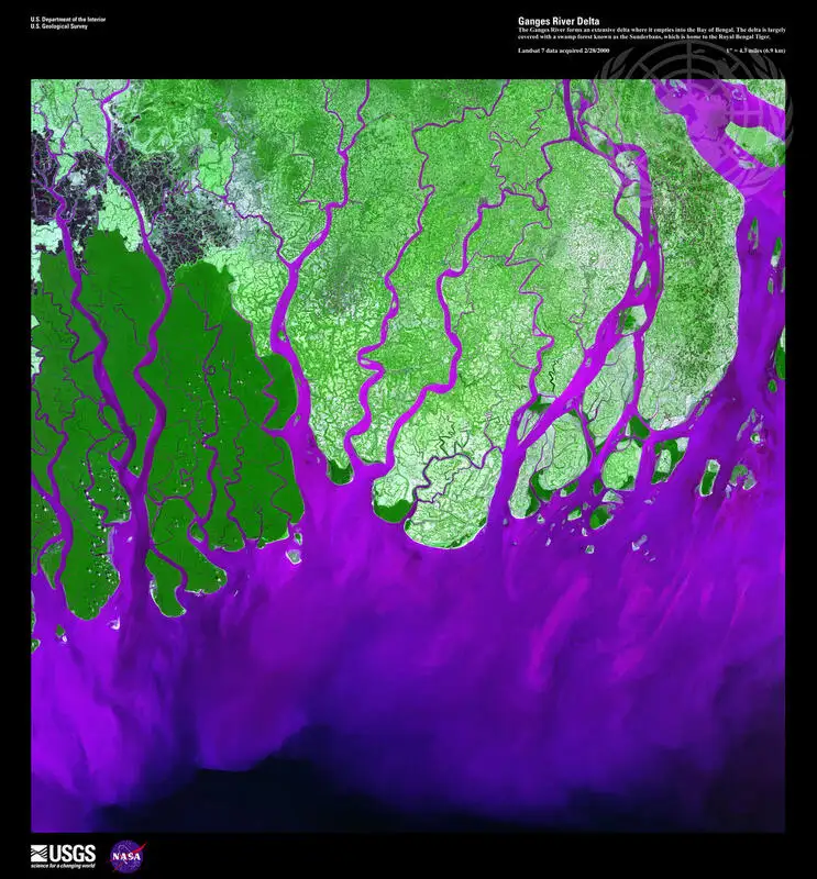 恒河三角洲卫星图