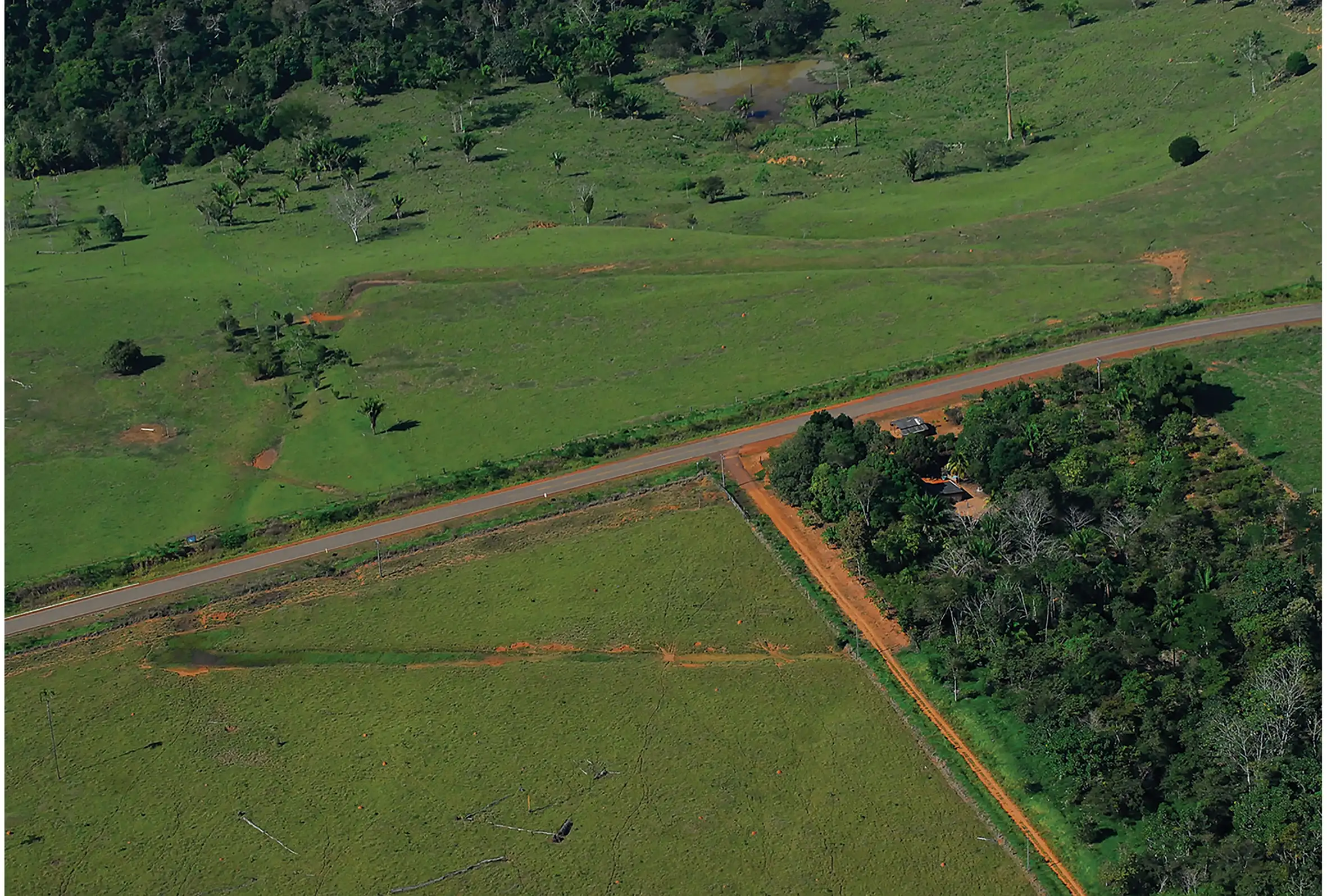 塞韦里诺·卡拉桑斯地画