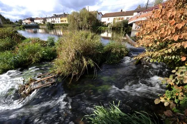 多塞勒村附近的沃洛涅河