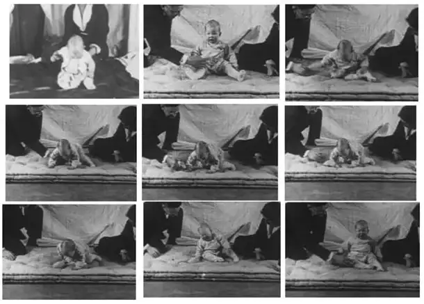 小艾伯特实验影片截图