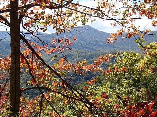 Great Smoky Mountains