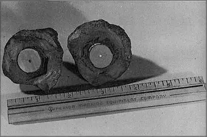 科索 Artefact 切开后的照片，显示出内部的金属圆柱体