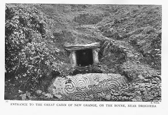 纽格莱奇墓发掘前的样子，被树木和植被覆盖