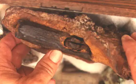 伦敦锤顶部视图