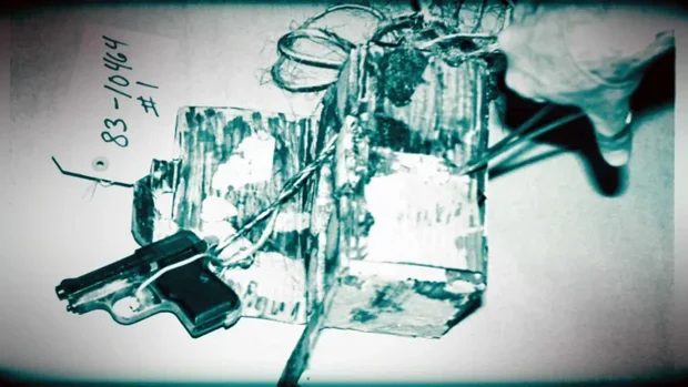 带枪陷阱的详细照片