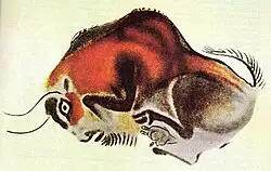 阿尔塔米拉洞穴壁画中的野牛细节，展示了精湛的绘画技巧