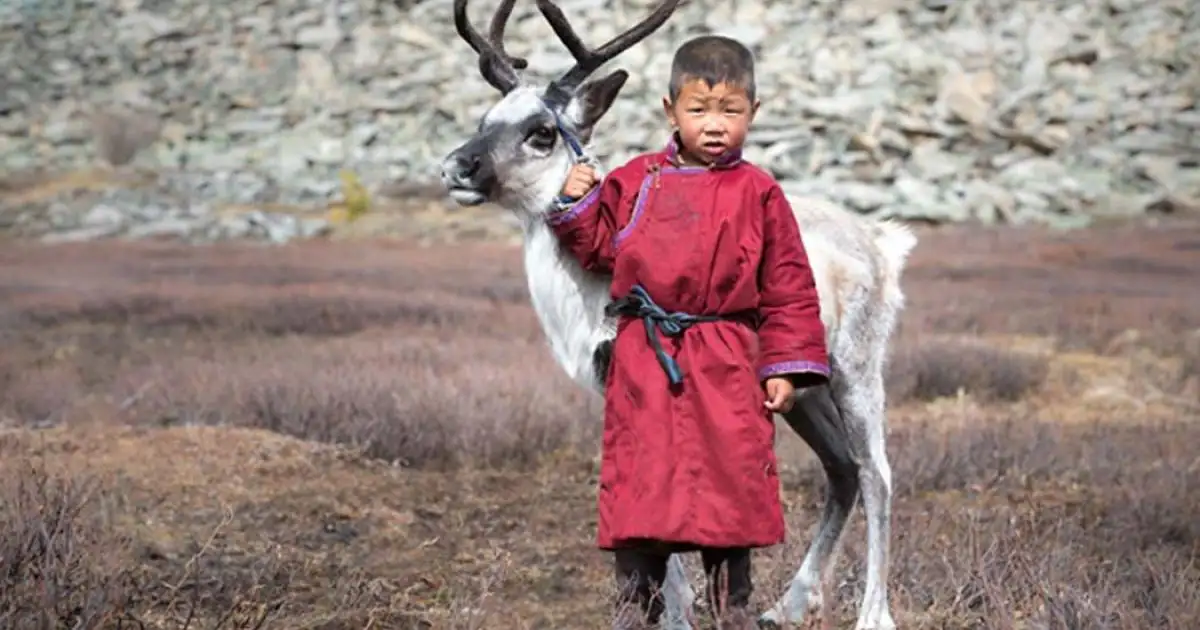 达尔扈特守护者