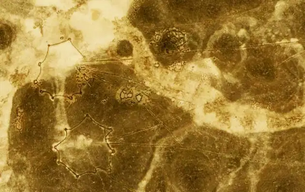 叙利亚沙漠风筝卫星图