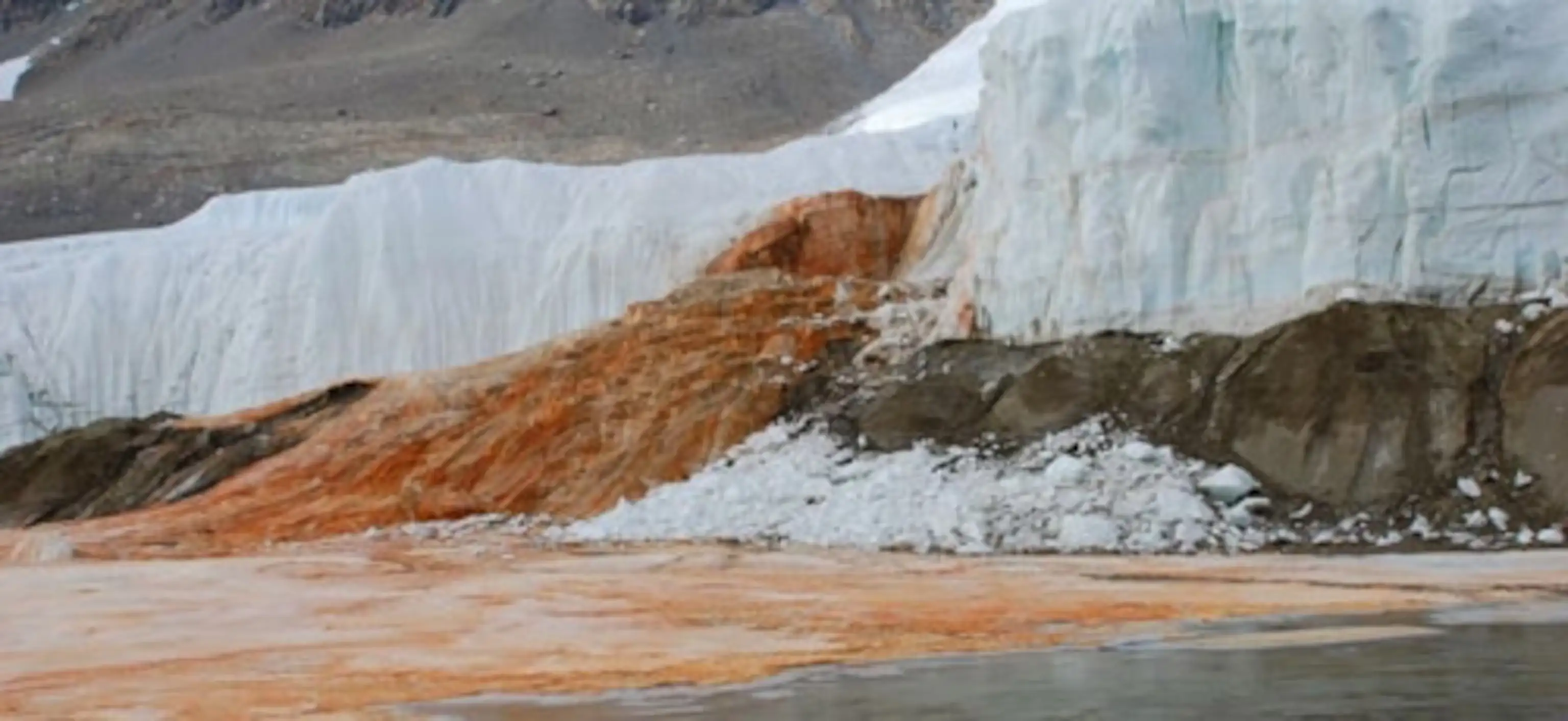 Blood Falls bacteria research