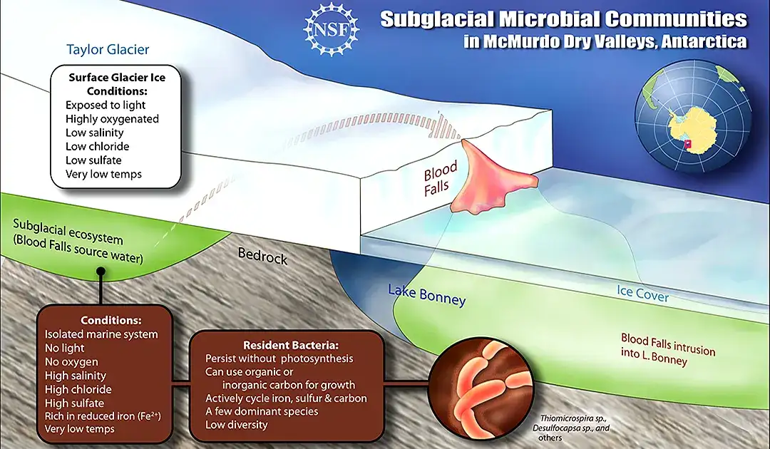 Blood Falls NSF graphic
