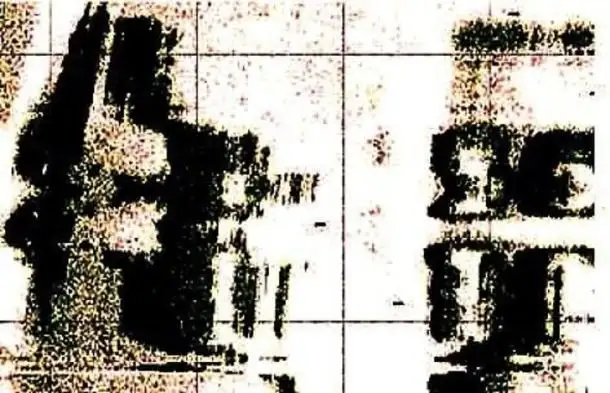 实际声纳扫描图像