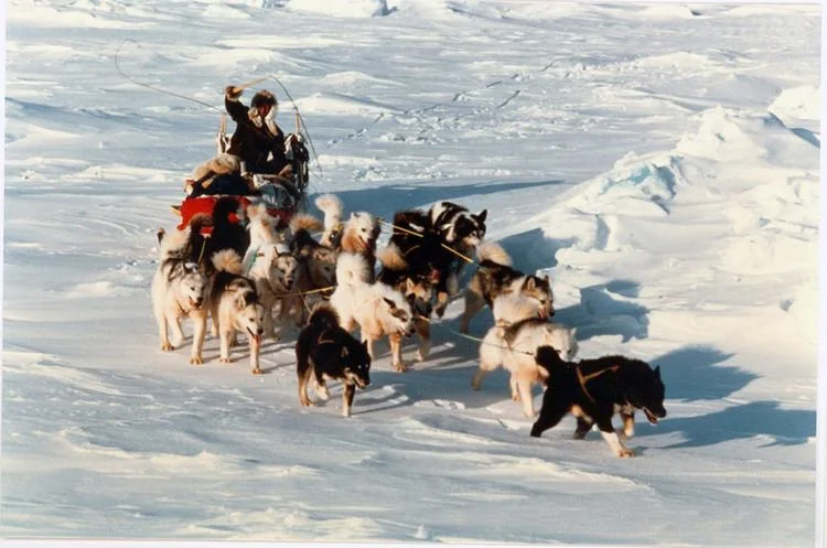 植村直己在极地探险中，展现了他标志性的微笑