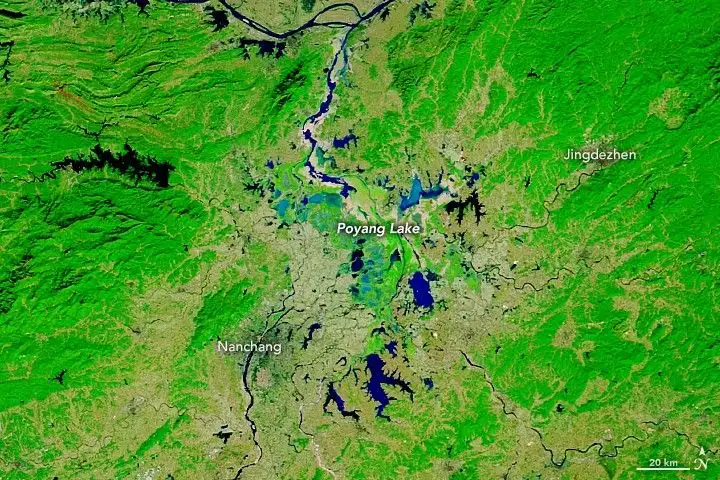 鄱阳湖枯水期与丰水期的对比，展示了湖泊面积的剧烈变化