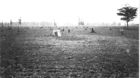 新马德里地震造成的沙火山