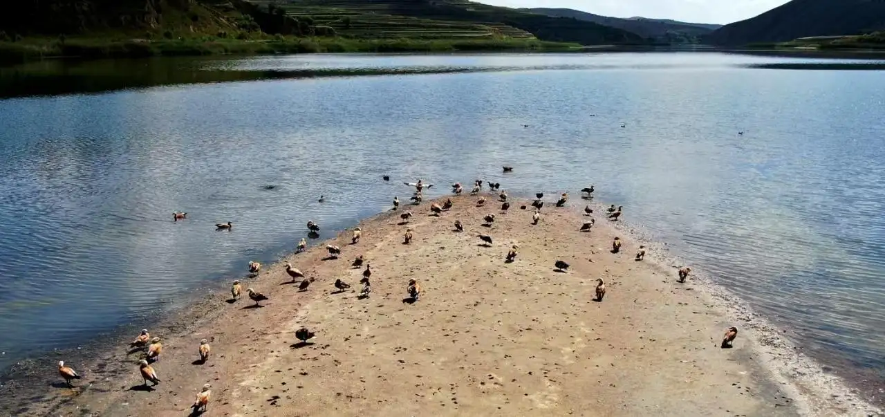 堰塞湖生态恢复