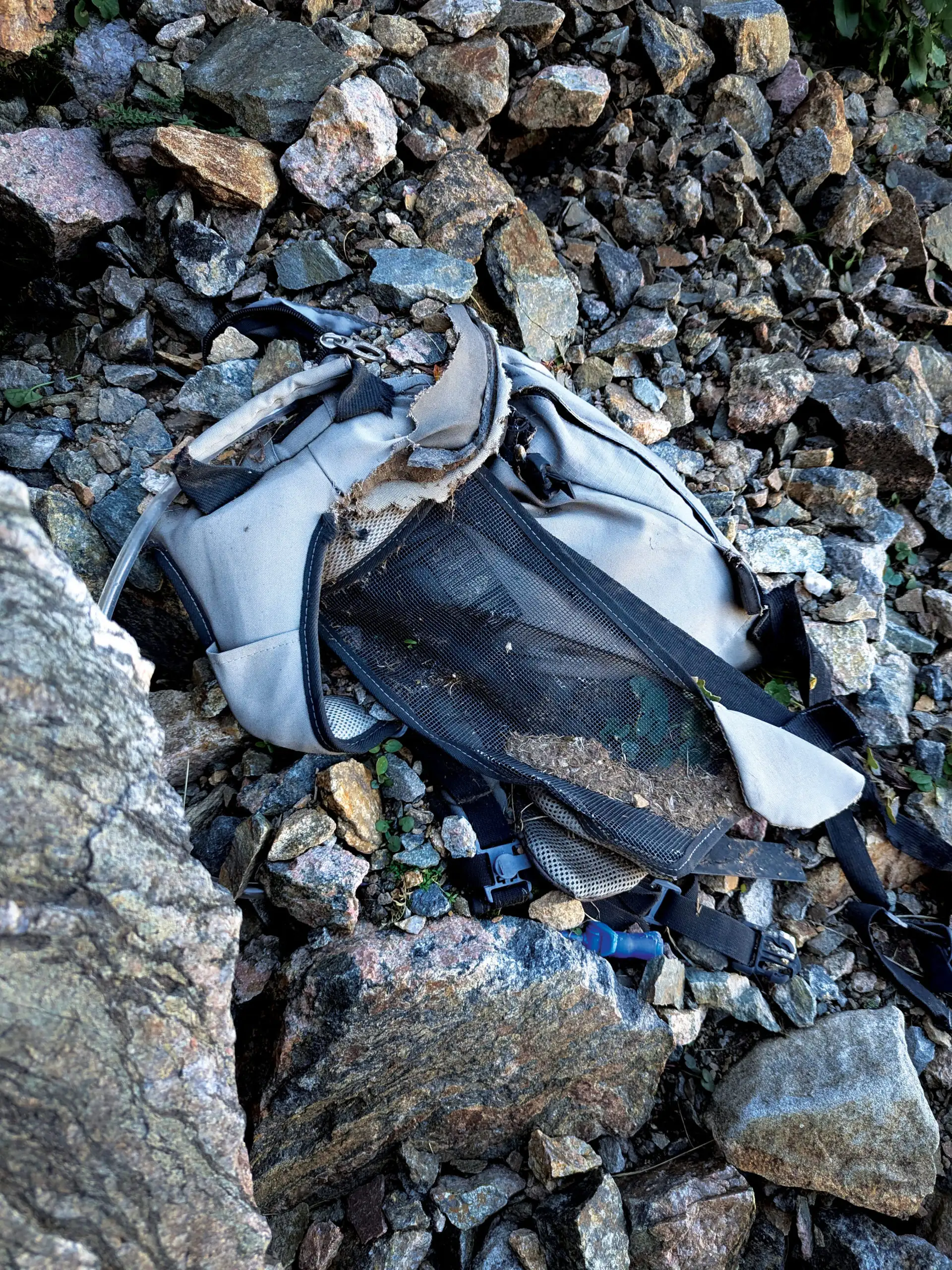 发现的遗物包括米歇尔的蓝色针织帽、压扁的水瓶和其他物品