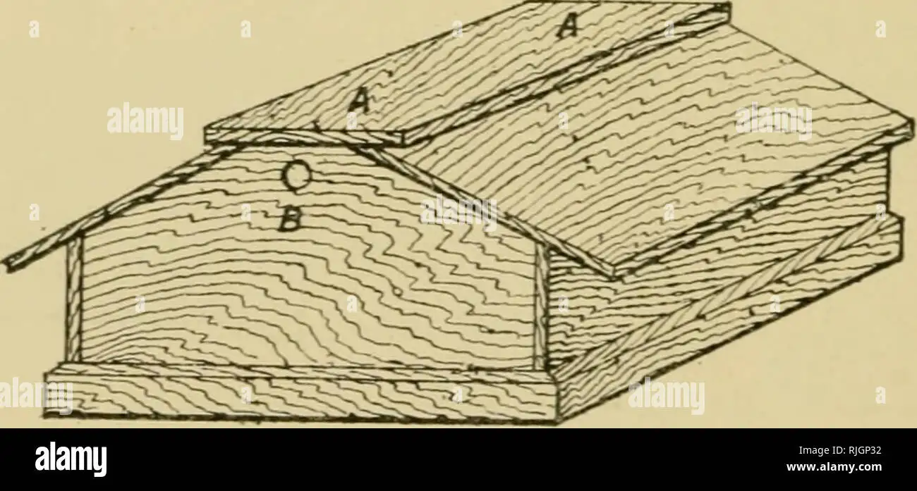 柏林空运1948-1949年期间，运输机在滕珀尔霍夫机场忙碌作业。空运高峰期，每45秒就有一架飞机降落。
