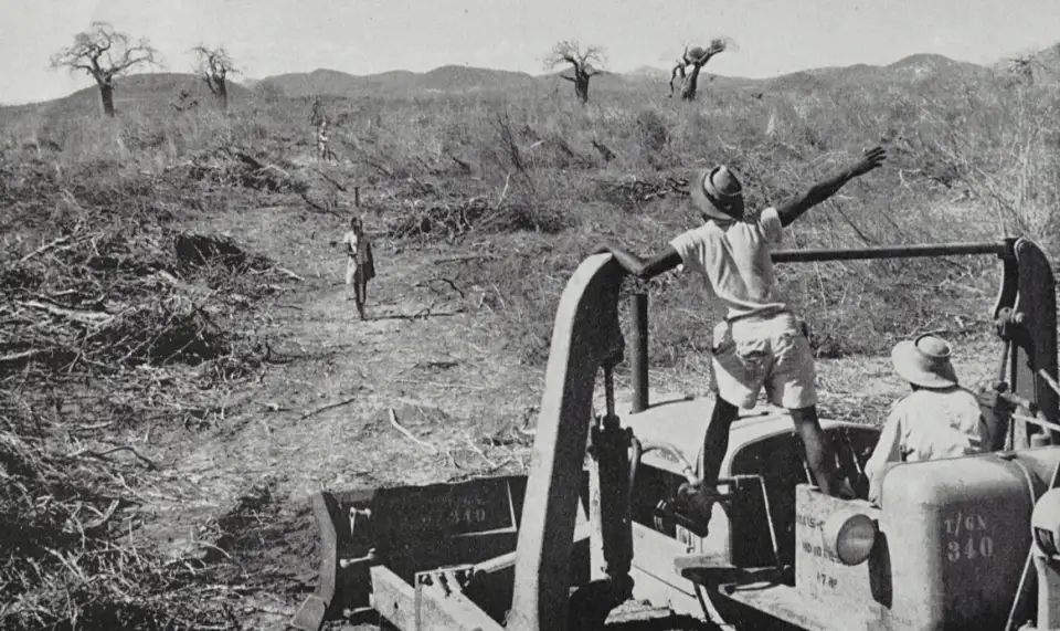 花生计划宣传画：敌人是自然