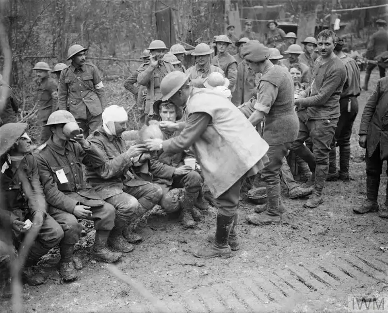 安克雷战役中的英军伤员，1916年11月13日