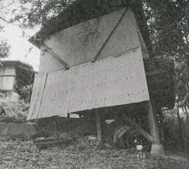 E死亡的洋葱小屋