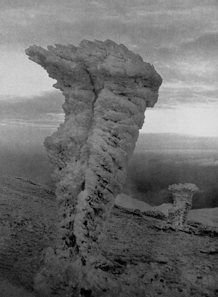 华盛顿山的恶劣天气形成了诡异的雾凇，1953年摄