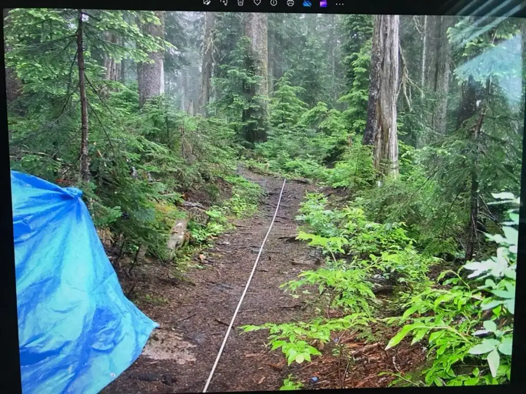 2006年7月12日犯罪现场调查照片