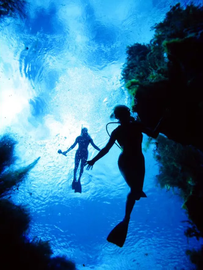 著名的1964年照片：Valerie Taylor和Tanya Binning在Piccaninnie Ponds潜水