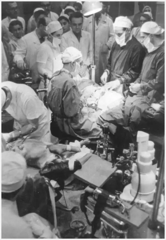 德米霍夫进行实验手术