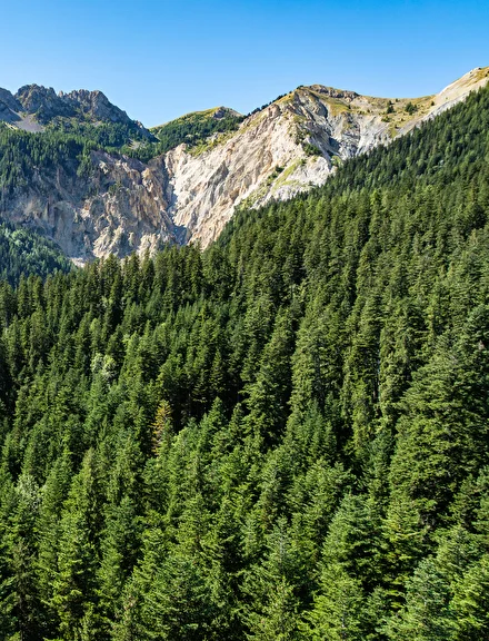 Bragousse山谷，德国流浪者Nik的遗体在此被发现