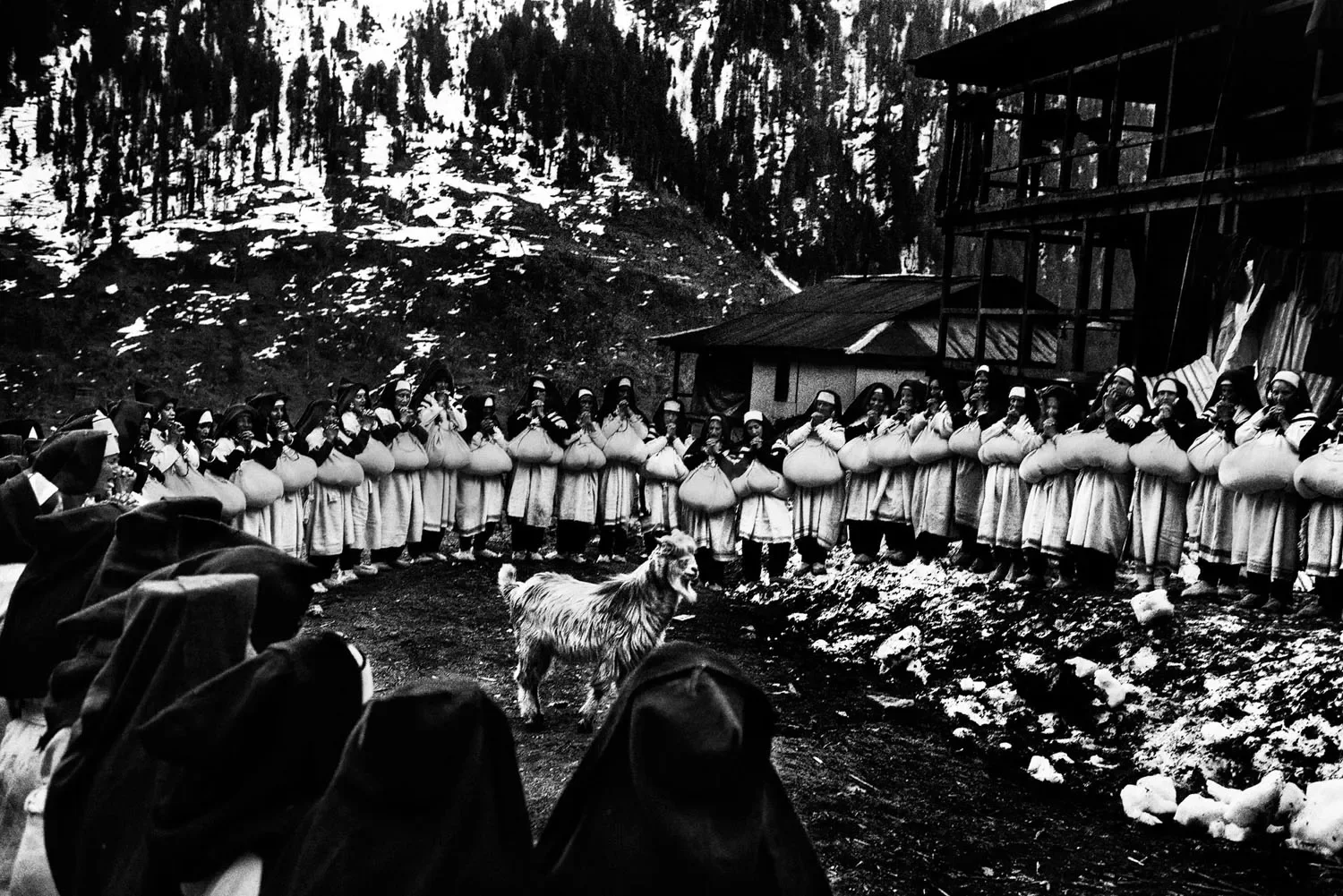 马拉纳传统仪式