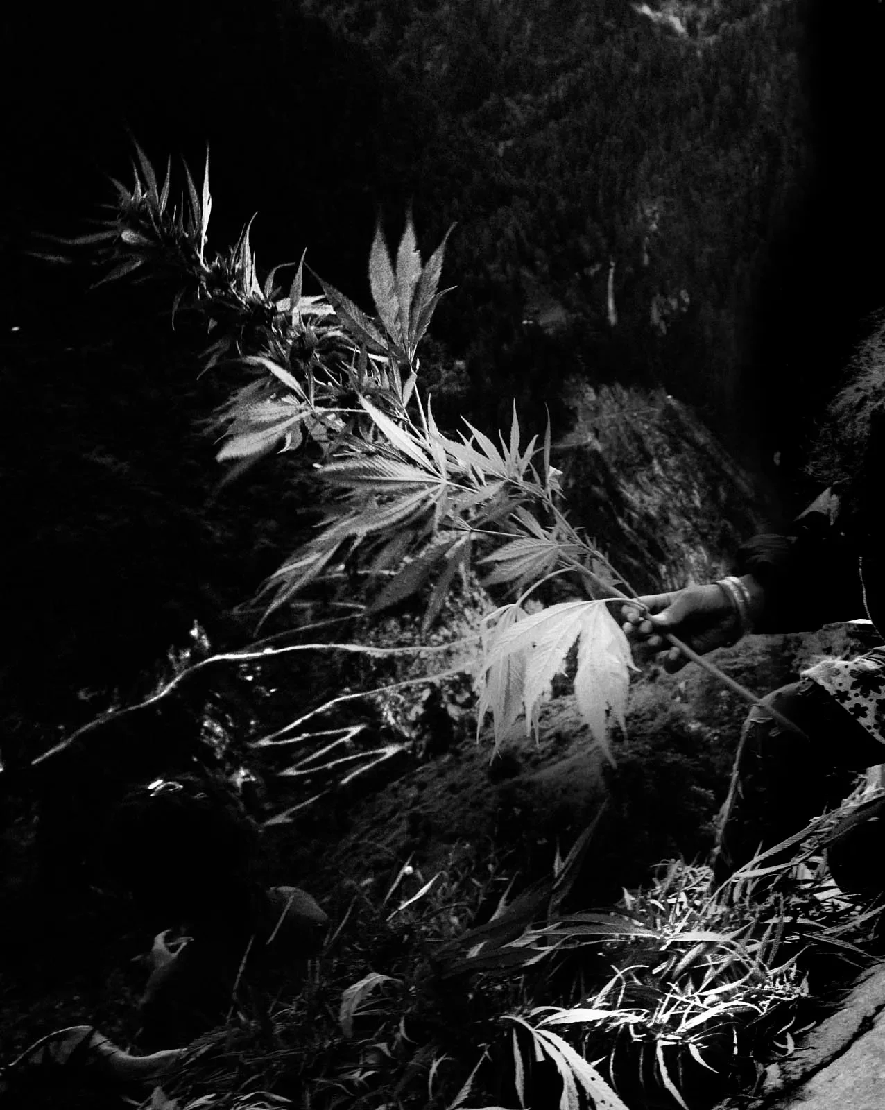 马拉纳村庄景观