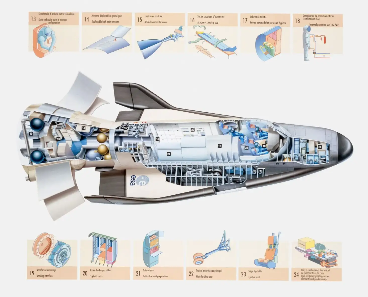 赫尔墨斯航天飞机内部剖面图，展示了乘员舱、货舱和资源舱的布局