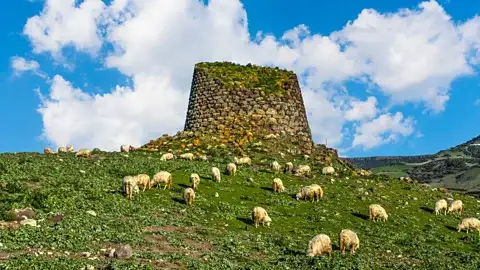 努拉吉塔的典型蜂巢形态