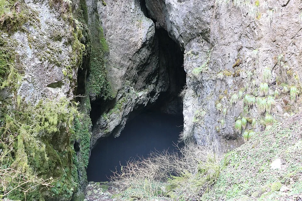 日咩坂鐘乳穴入口