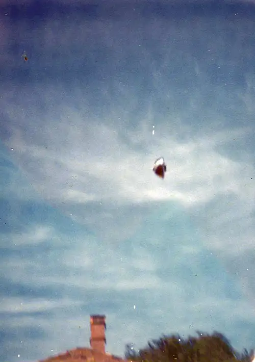 1966年4月2日在 Deepdene 拍摄的宝丽来照片,显示一个圆盘状物体,仅在 Westall 事件四天前,距离仅20公里