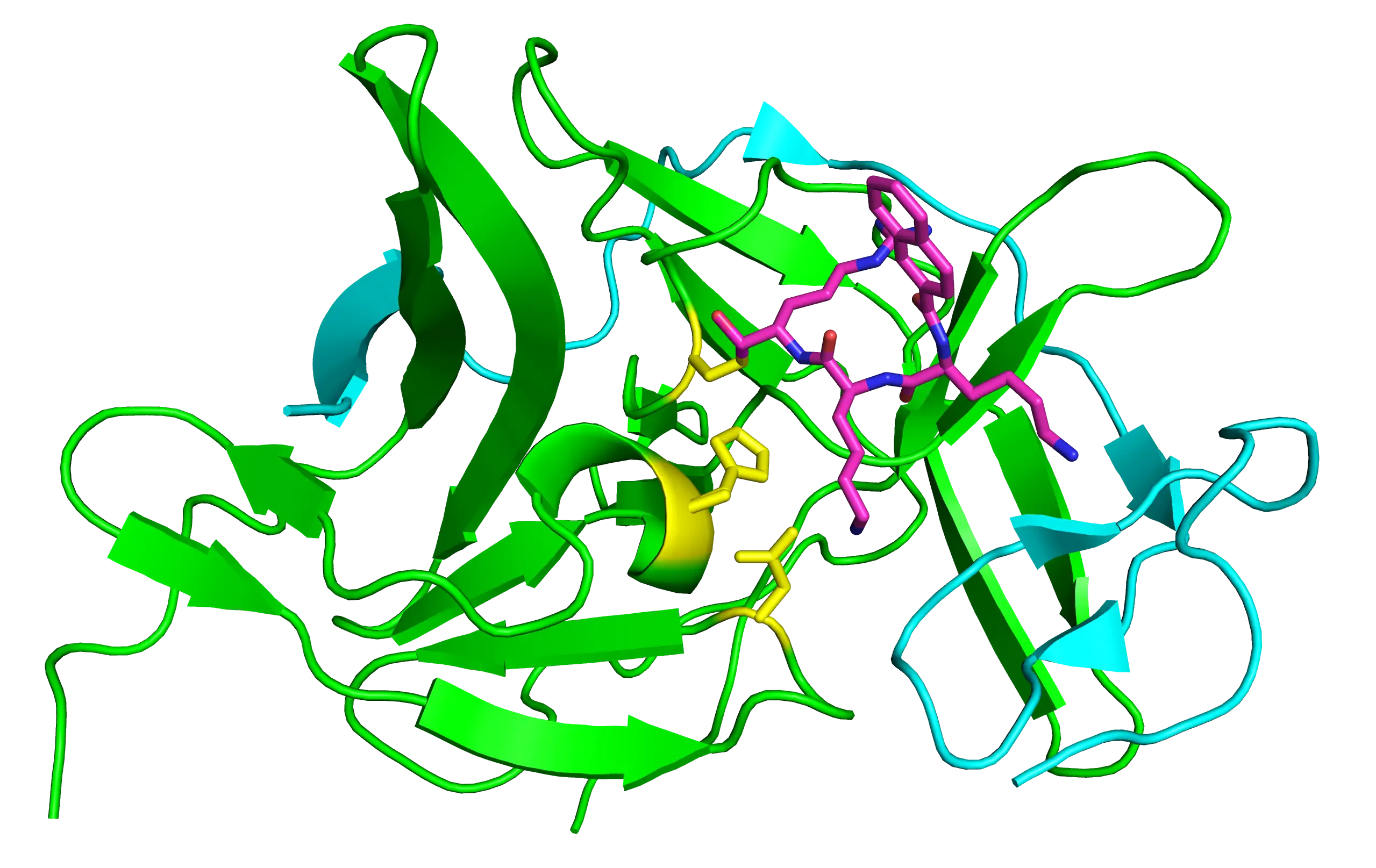 西尼罗河病毒的结构示意图