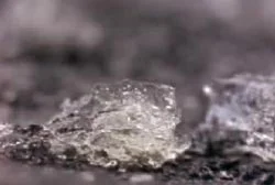 地面的胶状物质