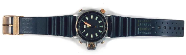 Citizen Aqualand手表