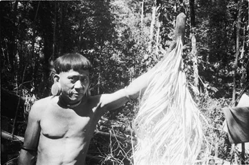 Along Sega，本南族最后的首领之一