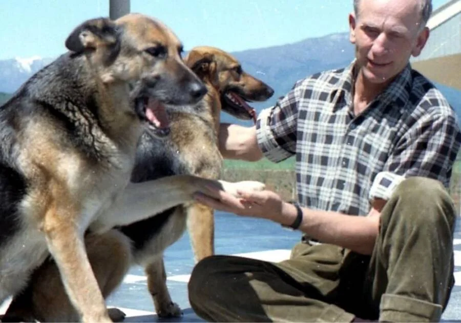 保罗·谢弗，尊严殖民地的创始人