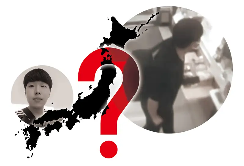 屋久岛的原始森林景观